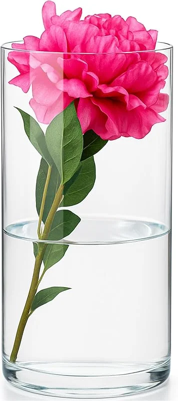 Besuche den KONZEPT-Store KONZEPT – Zylinder Glasvase (ø: 16 cm, H:30 cm), große Vase Glas, Moderne Blumenvase, transparente Glaszylinder, Tulpenvase, Glasvase für Blumen — Kerzenlicht Abendessen