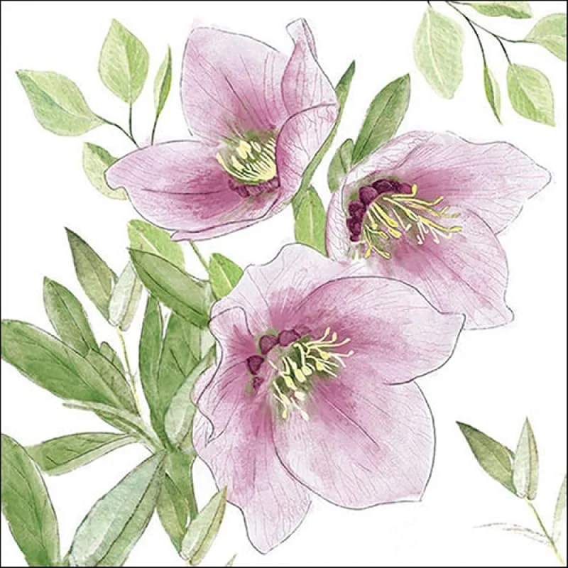 Besuche den Ambiente-Store 20 Servietten Weihnachten Klassische Christrose rosa als Tischdeko. Papierservietten mit Motiv. Auch für Decoupage und Serviettentechnik 33x33cm — Advent und Tisch