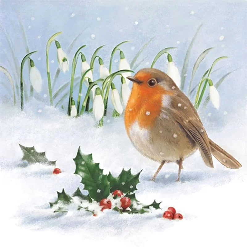 Marke: Anniversary House Anniversary House Tiflair Luxuriöse Weihnachtsservietten, 3-lagige Papierservietten mit Rotkehlchen-, Stechpalmen- und Schneeglöckchen-Design, dicke, starke, festliche Einweg-Servietten für — Advent und Tisch