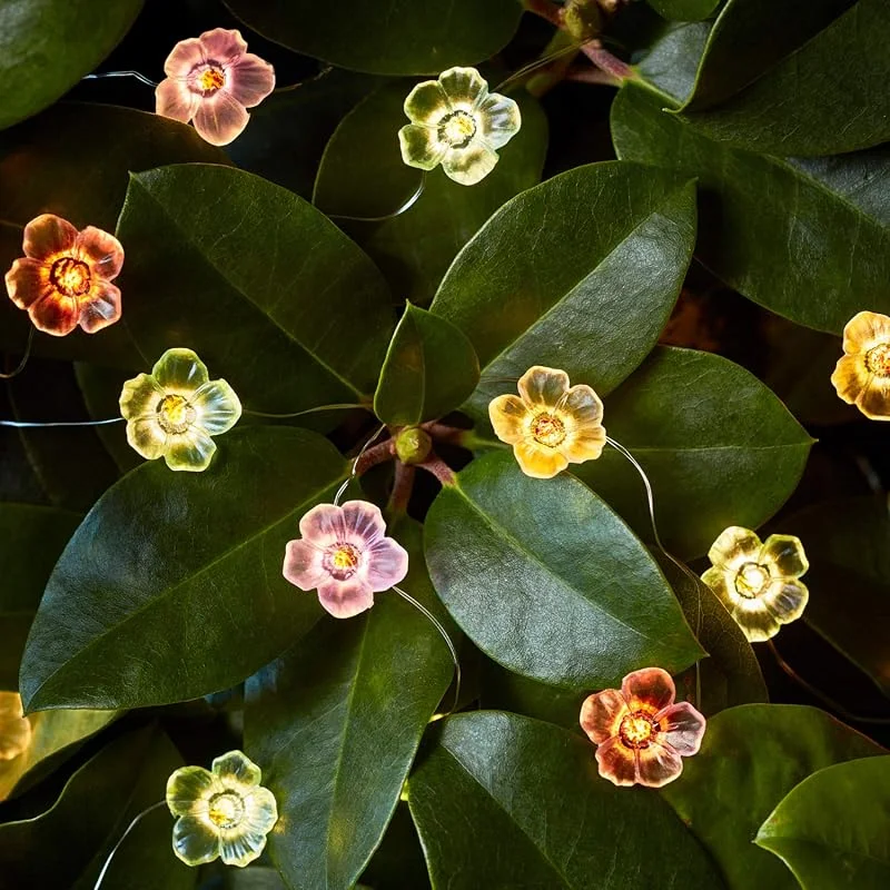 Besuche den Lights4fun-Store Lights4fun 20er LED Micro Lichterkette Rosen warmweiß Timer Batterie Innen- und Außenbeleuchtung Deko Blumen Lichterkette Innen Lichterkette Außen [Energieklasse A++] — Kerzenlicht Abendessen